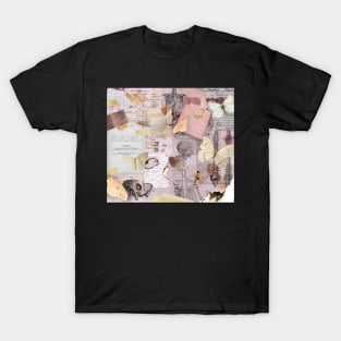 collection of dead things T-Shirt